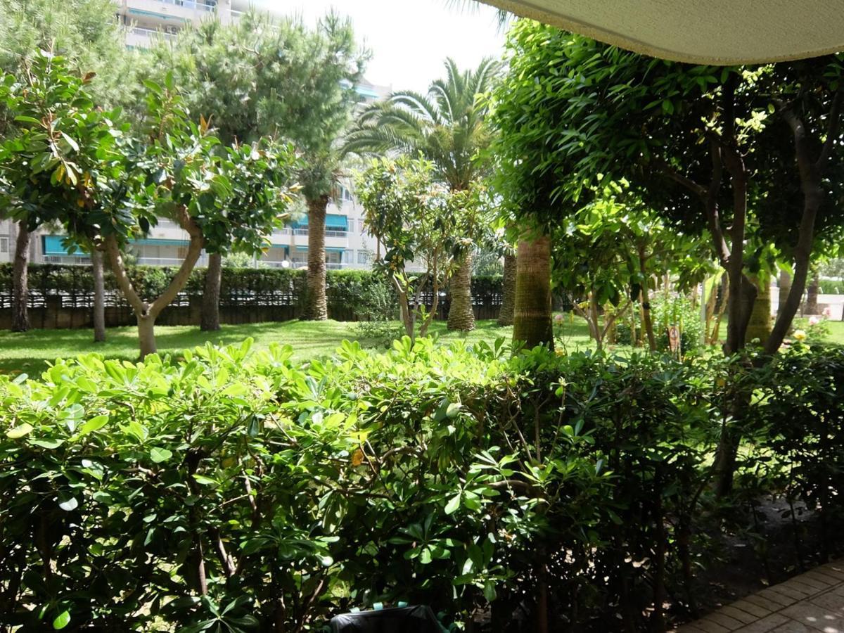 Parque Mota - Alquiler Solo A Familias Apartment Playa de Gandia ภายนอก รูปภาพ